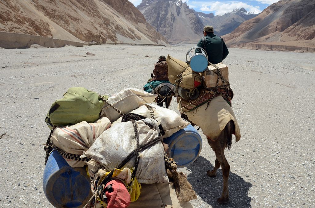 18 Our First Ride On The Camels To Cross The Shaksgam River Nearing Our First Camp Kerqin In The Shaksgam Valley After Descending From Aghil Pass On Trek To K2 North Face In China